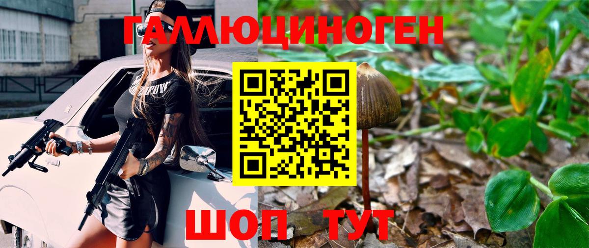 Галлюциногенные грибы прущие грибы Клин